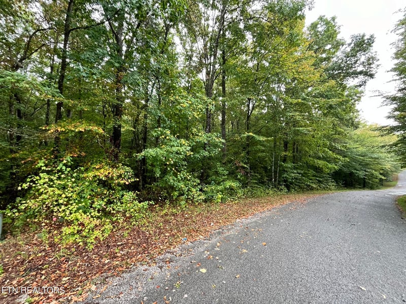 0 Lot 1 Evergreen Dr, Oneida, TN 37841
