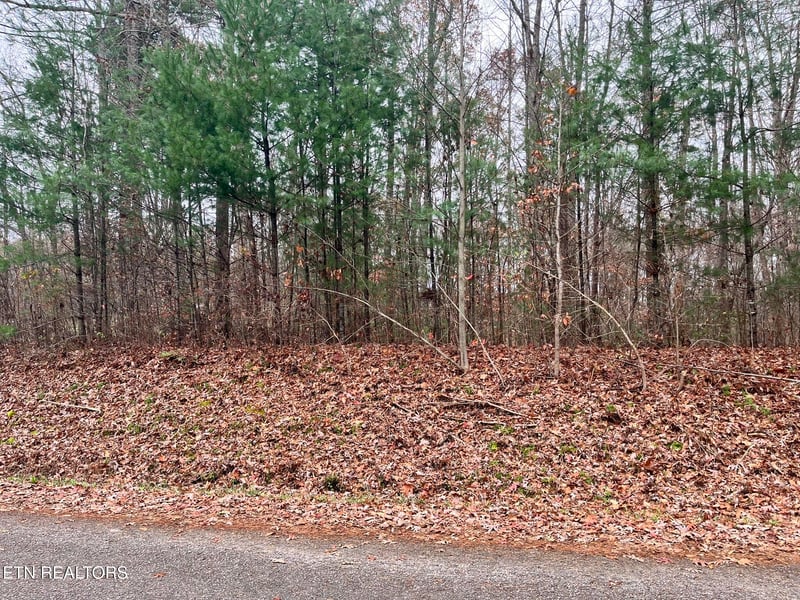 0 Lot 1 Evergreen Dr, Oneida, TN 37841