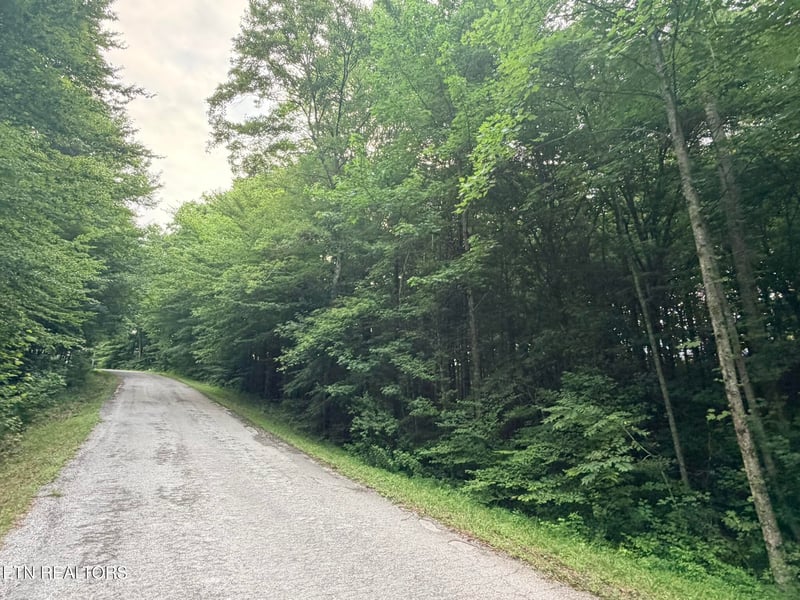 0 Lot 1 Evergreen Dr, Oneida, TN 37841