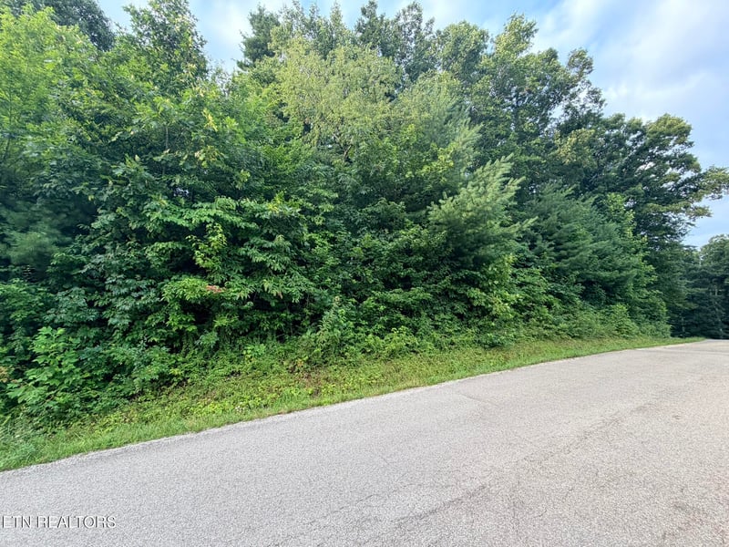 0 Lot 1 Evergreen Dr, Oneida, TN 37841