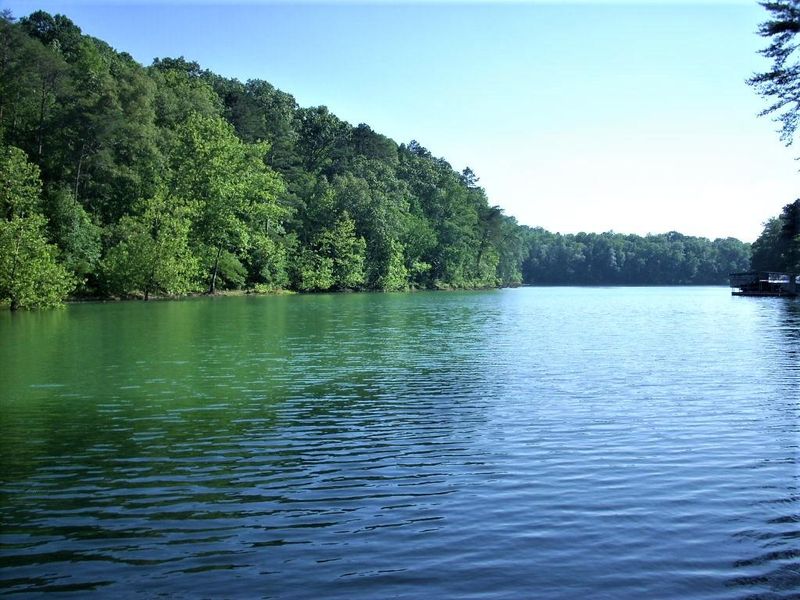 0 Lot 10 Cove Pointe Rd, Lafollette, TN 37766
