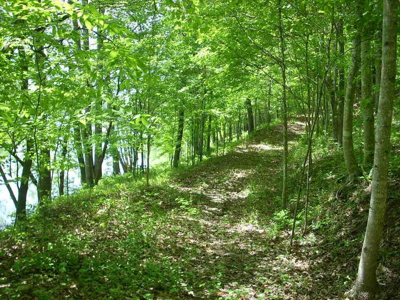 0 Lot 10 Cove Pointe Rd, Lafollette, TN 37766