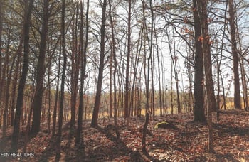 0 Lot 10 Curtis Rd, Tellico Plains, TN 37385