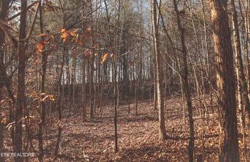 0 Lot 10 Curtis Rd, Tellico Plains, TN 37385