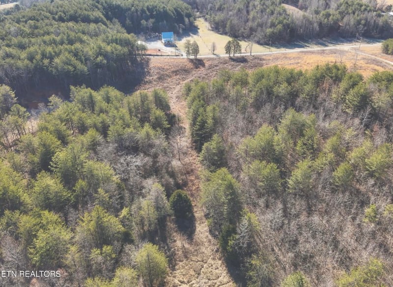 0 Lot 10 Curtis Rd, Tellico Plains, TN 37385