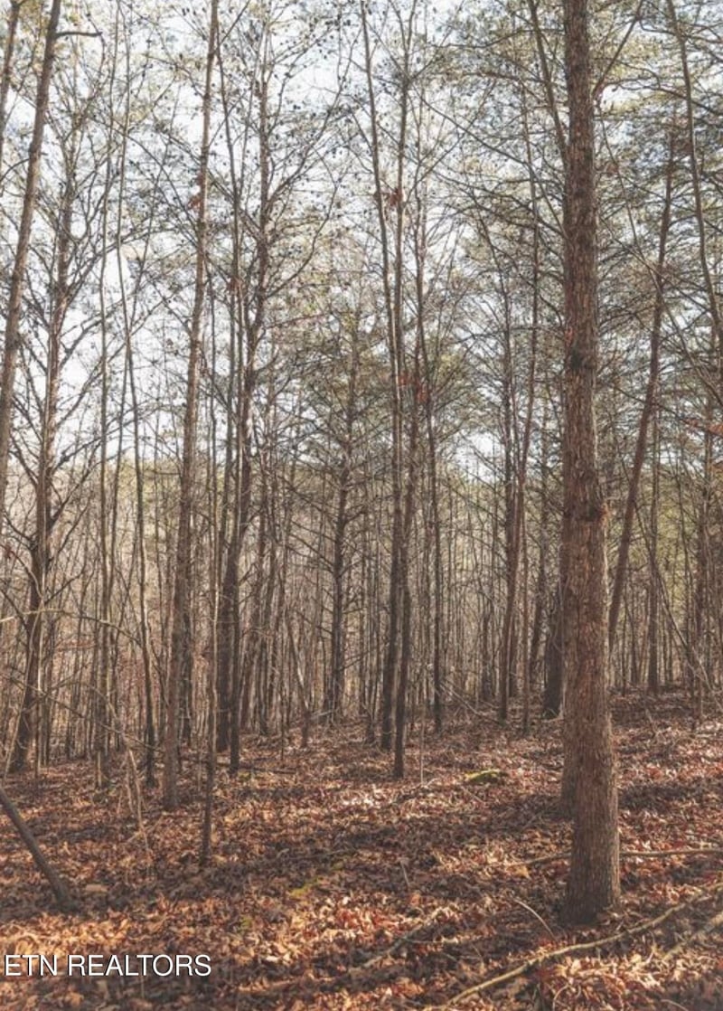0 Lot 10 Curtis Rd, Tellico Plains, TN 37385