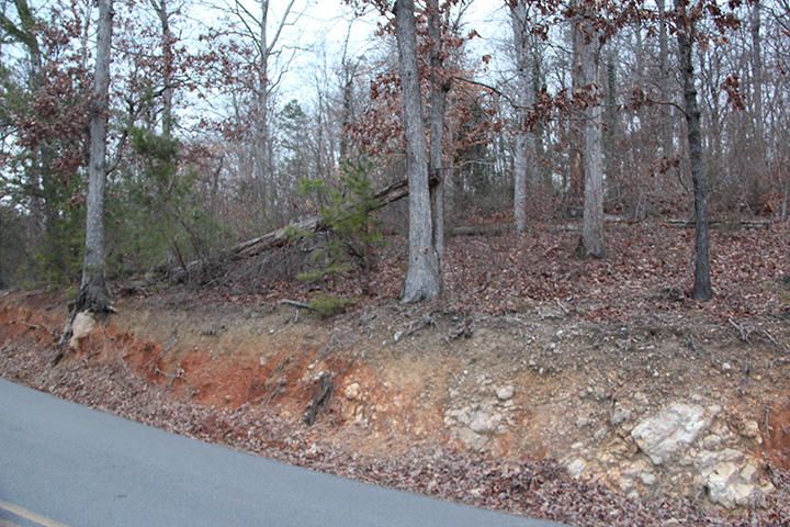 0 Lot 10 Roberts Rd, Kodak, TN 37764