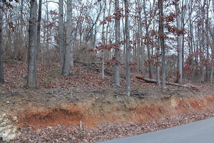 0 Lot 10 Roberts Rd, Kodak, TN 37764