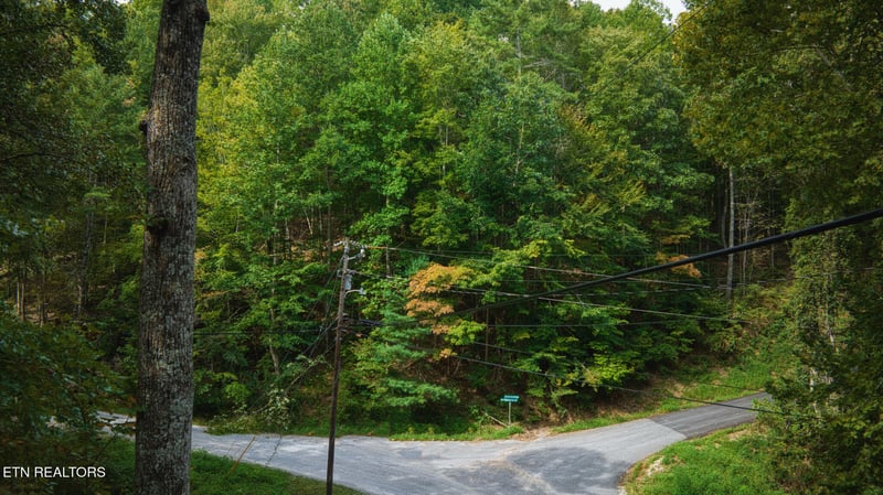 0 Lot 10 Stepping Stone Dr, Sevierville, TN 37862