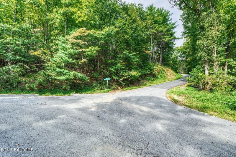 0 Lot 10 Stepping Stone Dr, Sevierville, TN 37862
