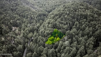 0 Lot 10 Stepping Stone Dr, Sevierville, TN 37862