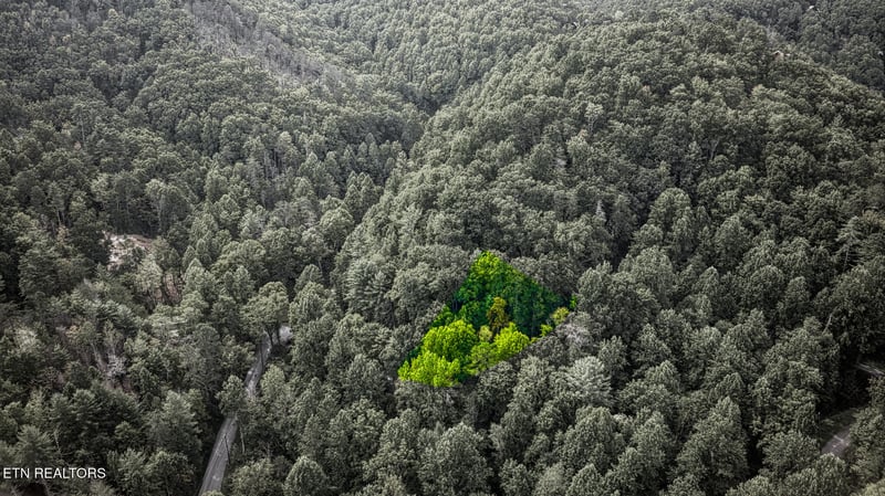 0 Lot 10 Stepping Stone Dr, Sevierville, TN 37862