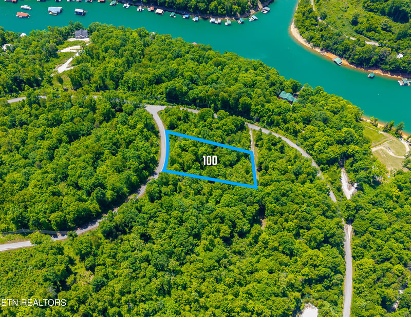 0 Lot 100 Saddleridge Dr, Speedwell, TN 37870