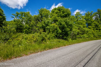 0 Lot 100 Saddleridge Dr, Speedwell, TN 37870