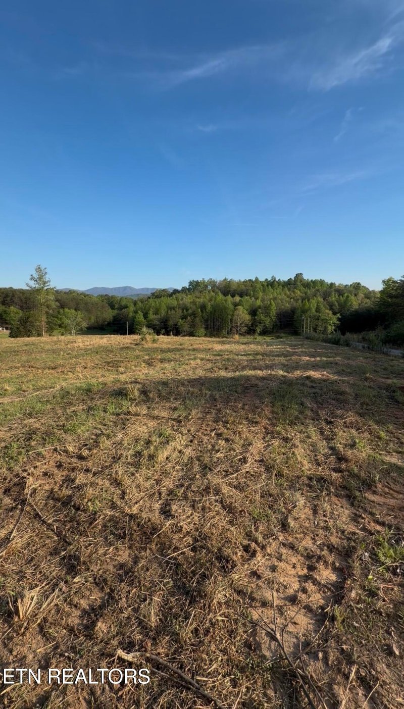 0 Lot 11 Curtis Rd, Tellico Plains, TN 37385