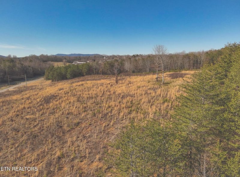 0 Lot 11 Curtis Rd, Tellico Plains, TN 37385