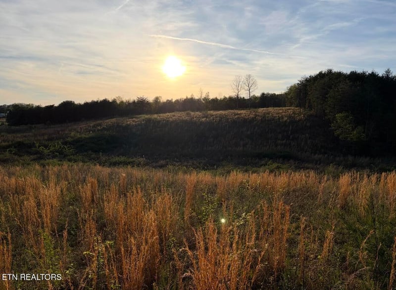0 Lot 11 Curtis Rd, Tellico Plains, TN 37385