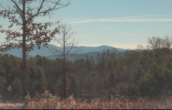 0 Lot 11 Curtis Rd, Tellico Plains, TN 37385