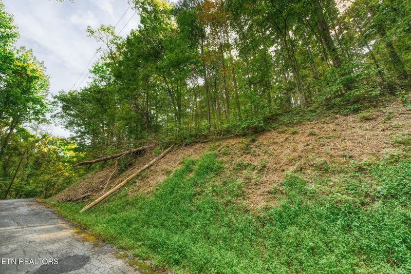 0 Lot 11 Stepping Stone Dr, Sevierville, TN 37862