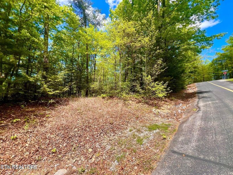 0 Lot 115 Whetstone Rd, Sevierville, TN 37862