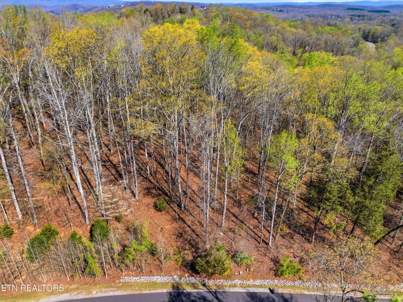 0 Lot 141 E Shore Dr, Rockwood, TN 37854