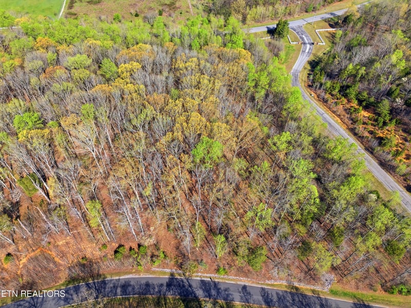 0 Lot 141 E Shore Dr, Rockwood, TN 37854