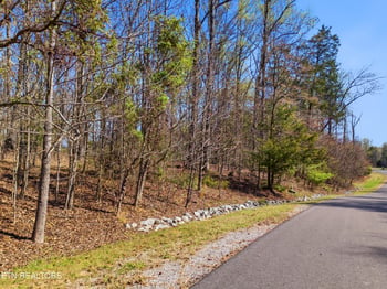 0 Lot 141 E Shore Dr, Rockwood, TN 37854