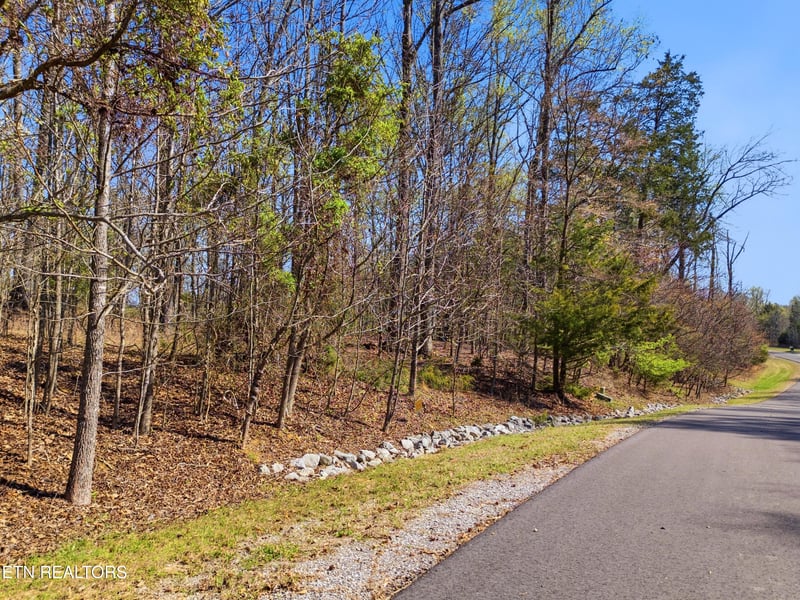 0 Lot 141 E Shore Dr, Rockwood, TN 37854
