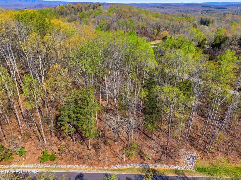 0 Lot 142 E Shore Dr, Rockwood, TN 37854