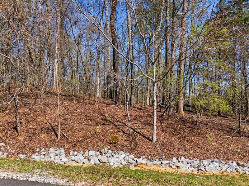 0 Lot 142 E Shore Dr, Rockwood, TN 37854