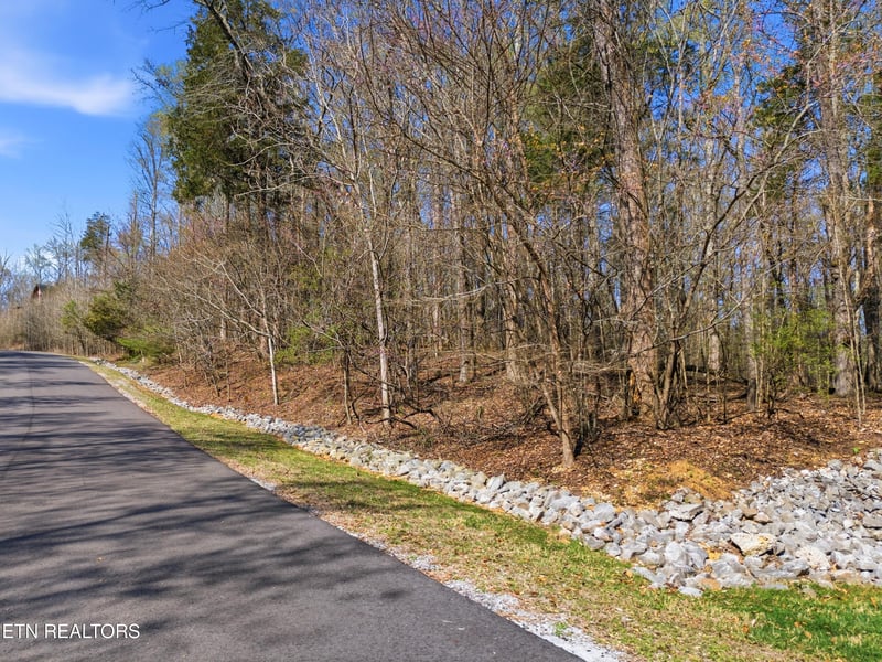 0 Lot 142 E Shore Dr, Rockwood, TN 37854