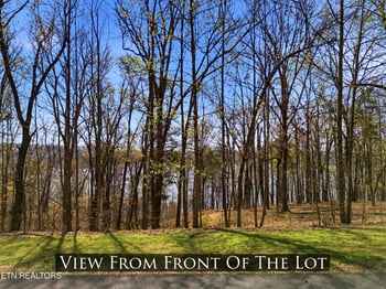 0 Lot 142 E Shore Dr, Rockwood, TN 37854