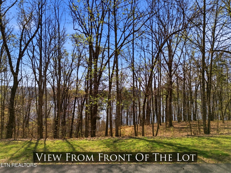 0 Lot 142 E Shore Dr, Rockwood, TN 37854