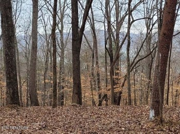 0 Lot 146 & 147 Lakeview Dr, Sharps Chapel, TN 37866