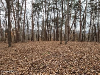 0 Lot 146 & 147 Lakeview Dr, Sharps Chapel, TN 37866