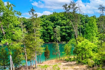 0 Lot 15 Black Fox Harbor Rd, Washburn, TN 37888