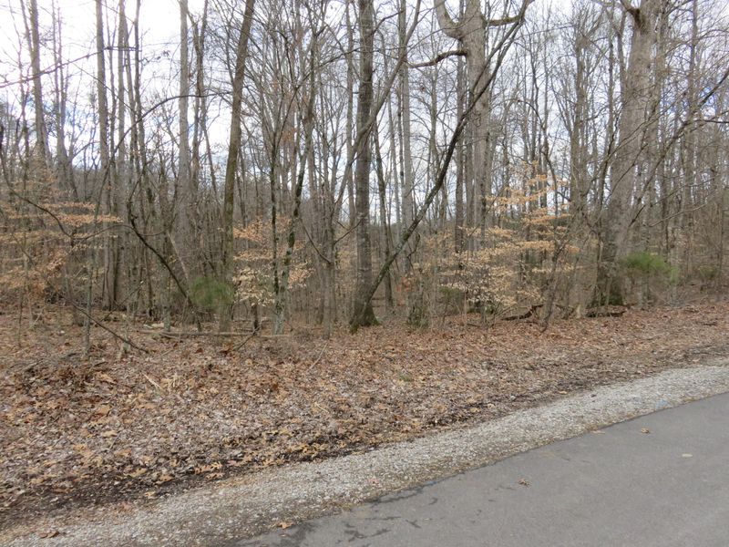 0 Lot 15 Dudala Way, Loudon, TN 37774