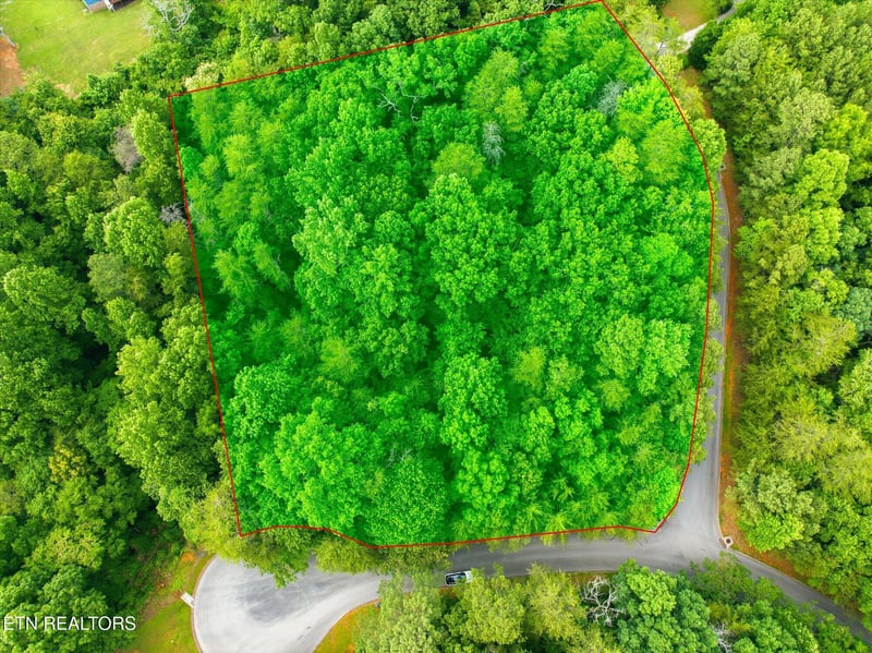 0 Lot 16 Tidence Ln, Athens, TN 37303