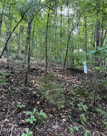 0 Lot 167 Laurel Lake Cir, Madisonville, TN 37354