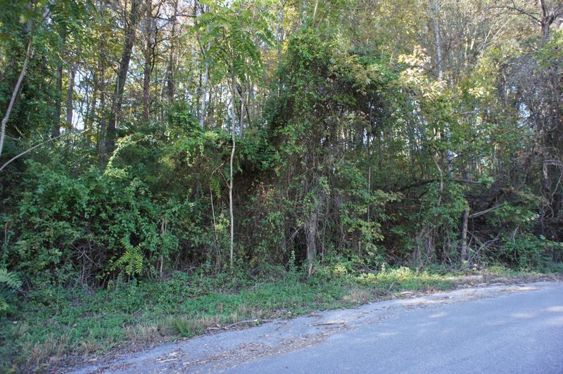 0 Lot 17 Baker Cir, Maynardville, TN 37807