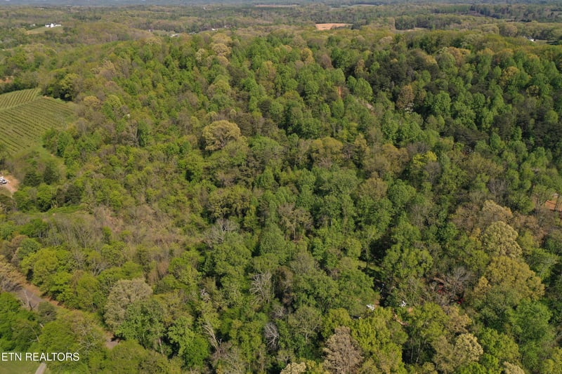 0 Lot 17 Elm Ln, Sweetwater, TN 37874