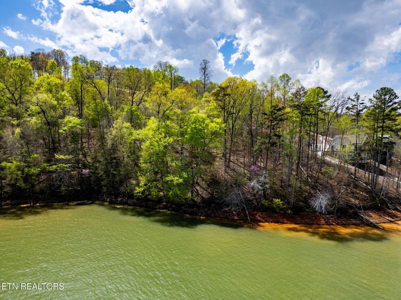 0 Lot 176 Waterside Ln, Lafollette, TN 37766