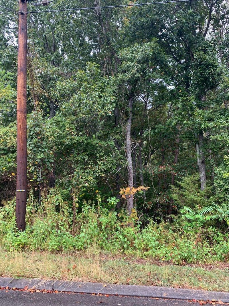 0 Lot 177 Mallard Baye, Rutledge, TN 37861