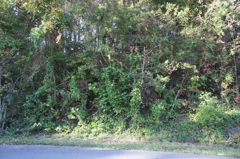 0 Lot 18 Baker Cir, Maynardville, TN 37807