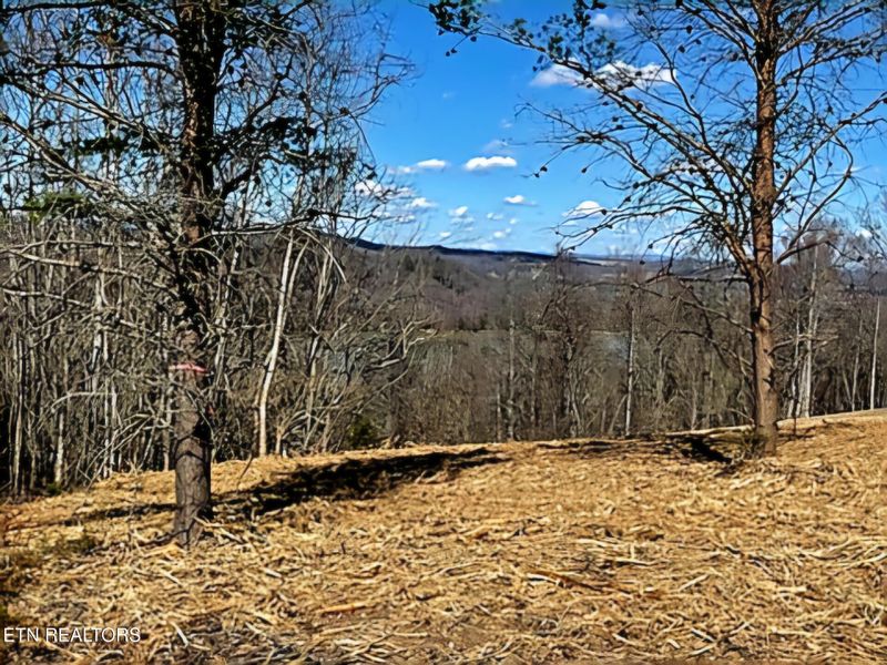 0 Lot 18 Panoramic, Maynardville, TN 37807