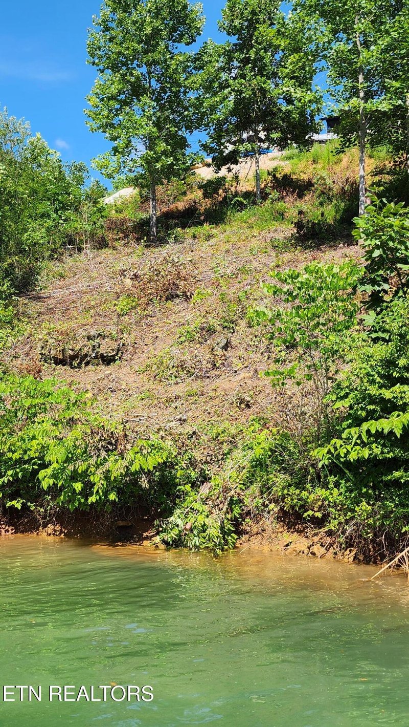 0 Lot 19 Cameron Loop, Lafollette, TN 37766