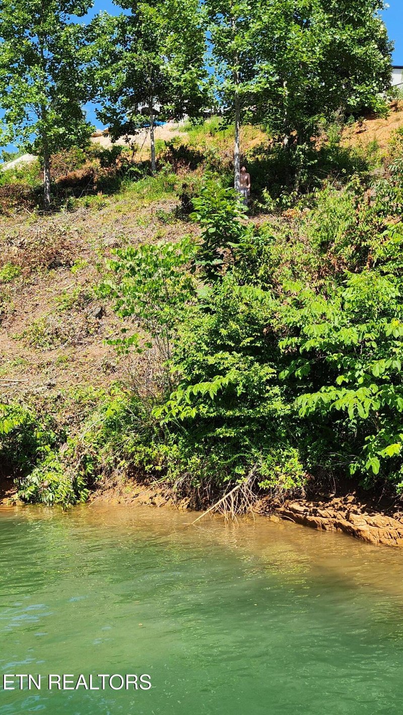 0 Lot 19 Cameron Loop, Lafollette, TN 37766
