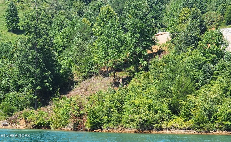 0 Lot 19 Cameron Loop, Lafollette, TN 37766