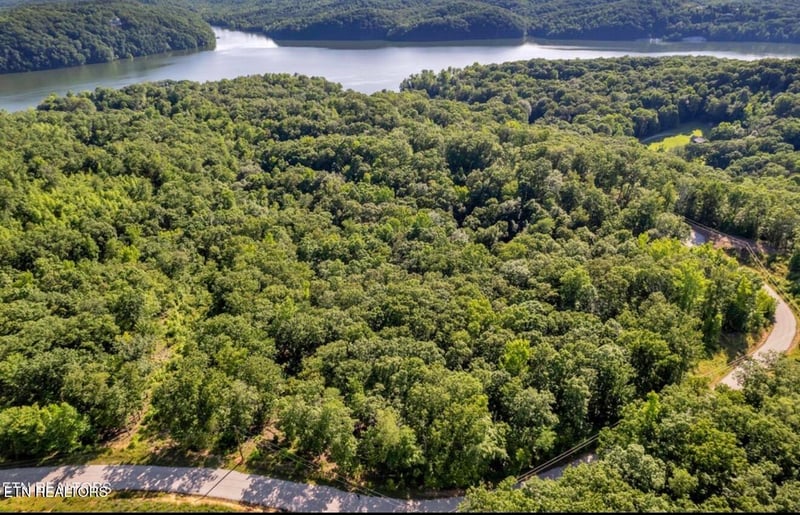 0 Lot #19 Ridgeline Dr, Rockwood, TN 37854