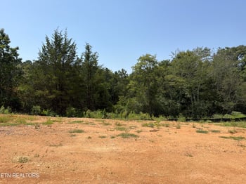 0 Lot 19 Silver Cedar Ln, Knoxville, TN 37932